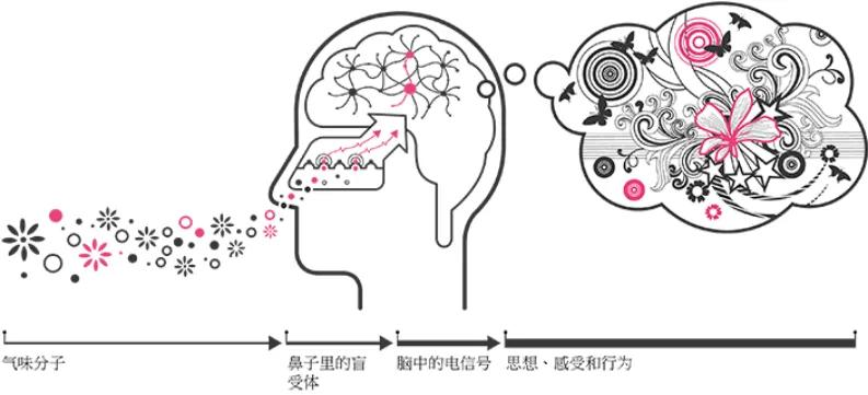未来元宇宙论坛，没有气味的元宇宙不是真正的元宇宙
