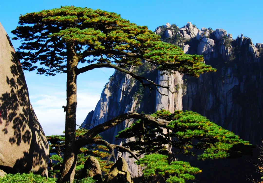 中国黄山景区发起用AR探索元宇宙活动，面向全球创作者发出邀请！